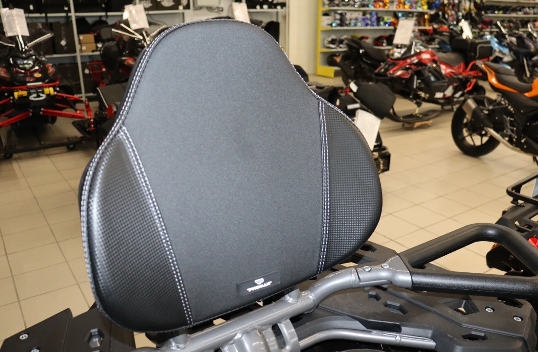 Квадроцикл PROMAX RENEGADE 300 LONG WINCH PRO (2025) в Димитровграде Квадроцикл PROMAX RENEGADE 300 LONG WINCH PRO (2025) в Димитровграде