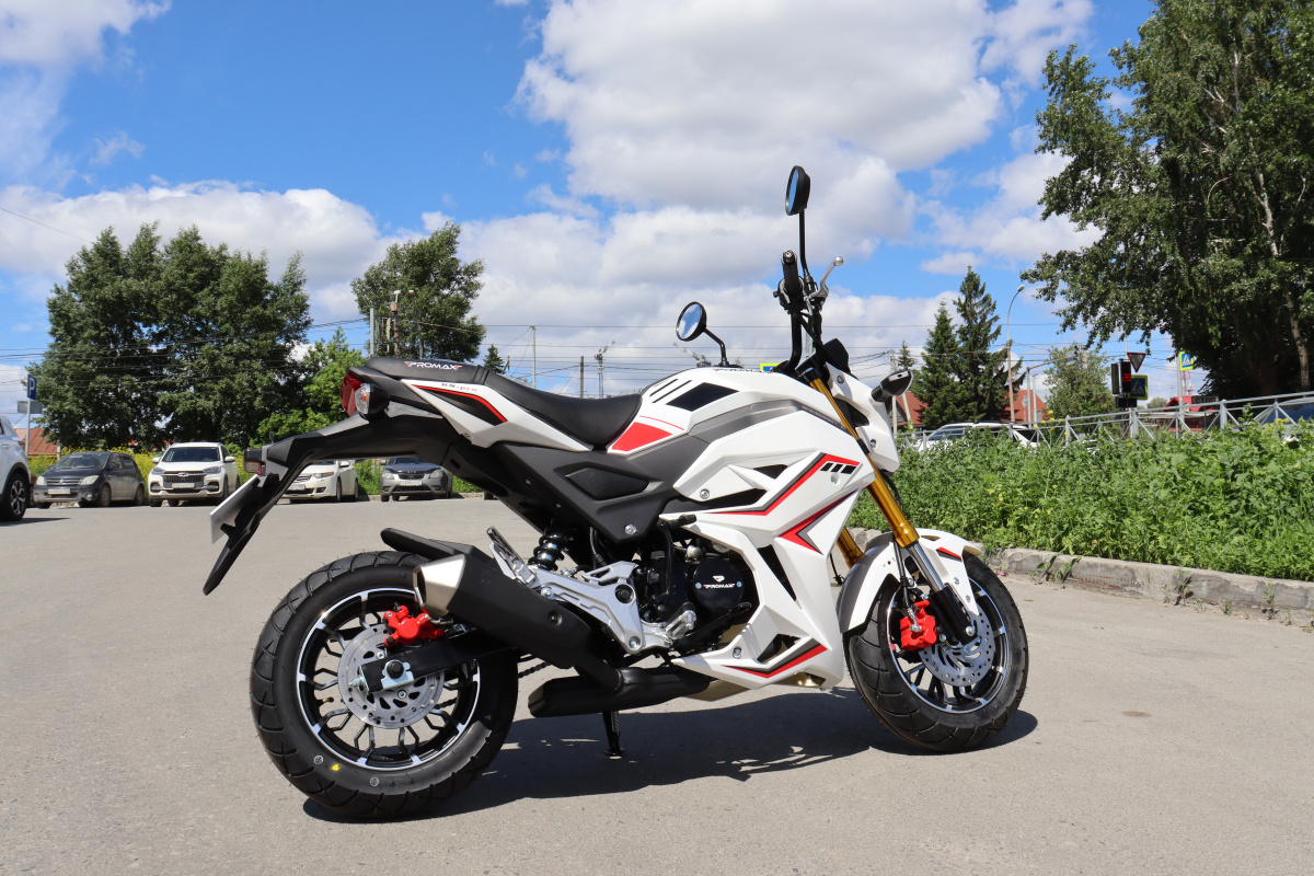 Мотоцикл PROMAX STRYKER 200(49) 2.0 в Димитровграде Мотоцикл PROMAX STRYKER 200(49) 2.0 в Димитровграде