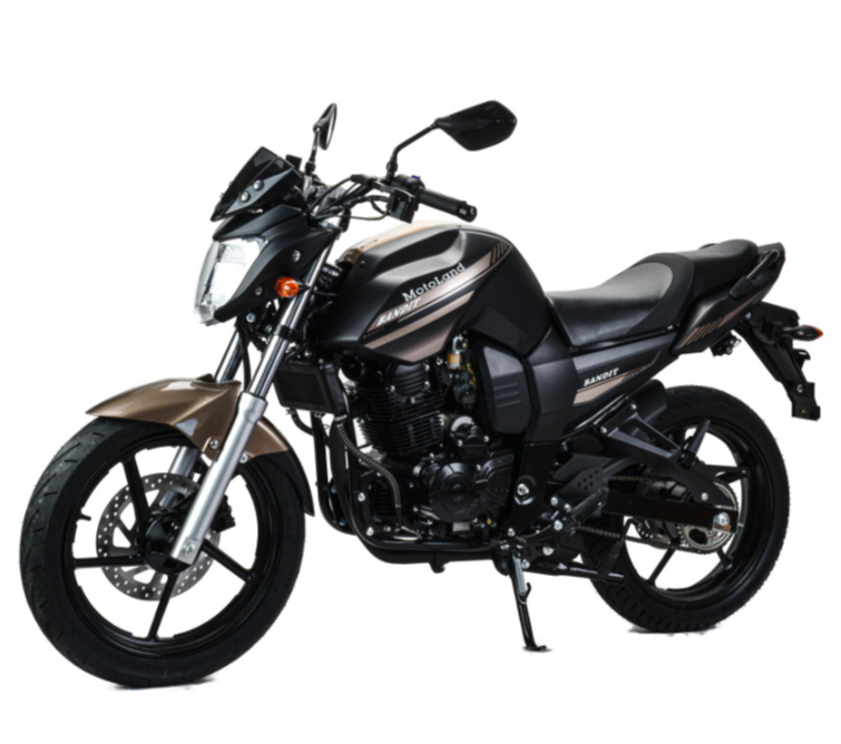 Мотоцикл MOTOLAND (МОТОЛЕНД) 300 BANDIT в Димитровграде