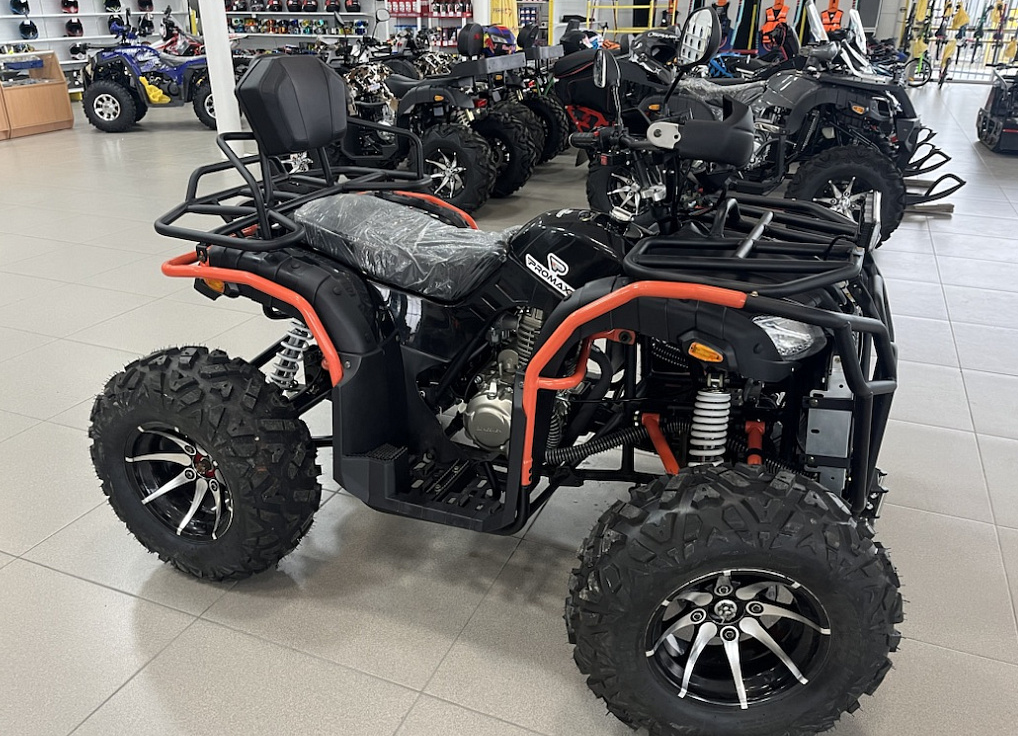 Квадроцикл PROMAX 300 4X4 ALL ROAD в Димитровграде Квадроцикл PROMAX 300 4X4 ALL ROAD в Димитровграде