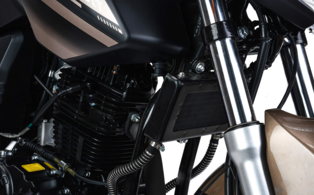 Мотоцикл MOTOLAND (МОТОЛЕНД) 300 BANDIT в Димитровграде