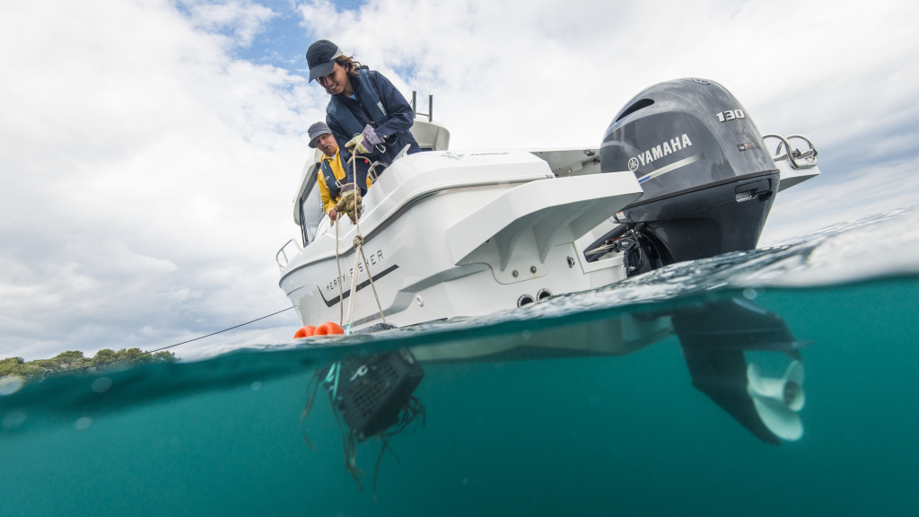 ЛОДОЧНЫЙ МОТОР YAMAHA F130 AETX в Димитровграде ЛОДОЧНЫЙ МОТОР YAMAHA F130 AETX в Димитровграде