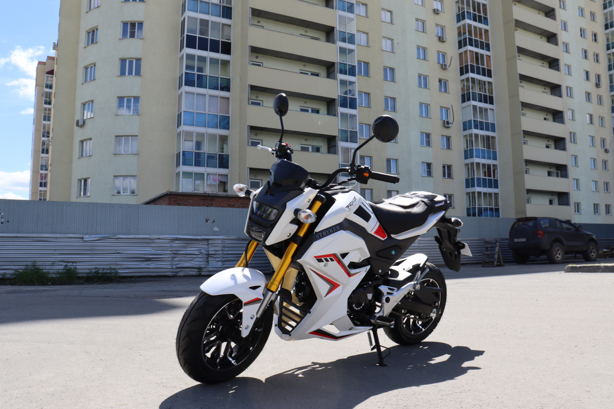 Мотоцикл PROMAX STRYKER 200(49) 2.0 в Димитровграде Мотоцикл PROMAX STRYKER 200(49) 2.0 в Димитровграде