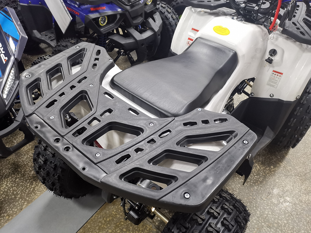 Квадроцикл PROMAX WILD 175 LUX в Димитровграде Квадроцикл PROMAX WILD 175 LUX в Димитровграде