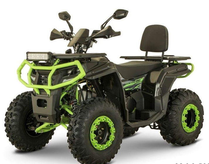 Квадроцикл YACOTA VIKING LONG 250 в Димитровграде Квадроцикл YACOTA VIKING LONG 250 в Димитровграде