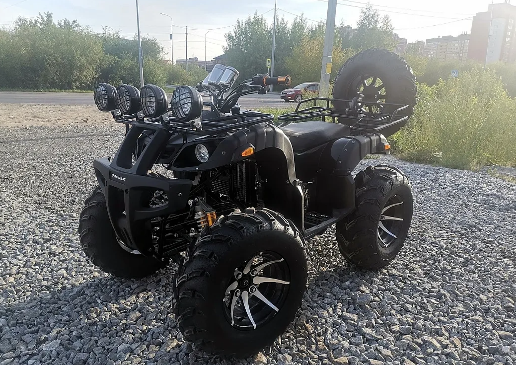 Квадроцикл PROMAX LEO 300 Max (кардан) в Димитровграде Квадроцикл PROMAX LEO 300 Max (кардан) в Димитровграде