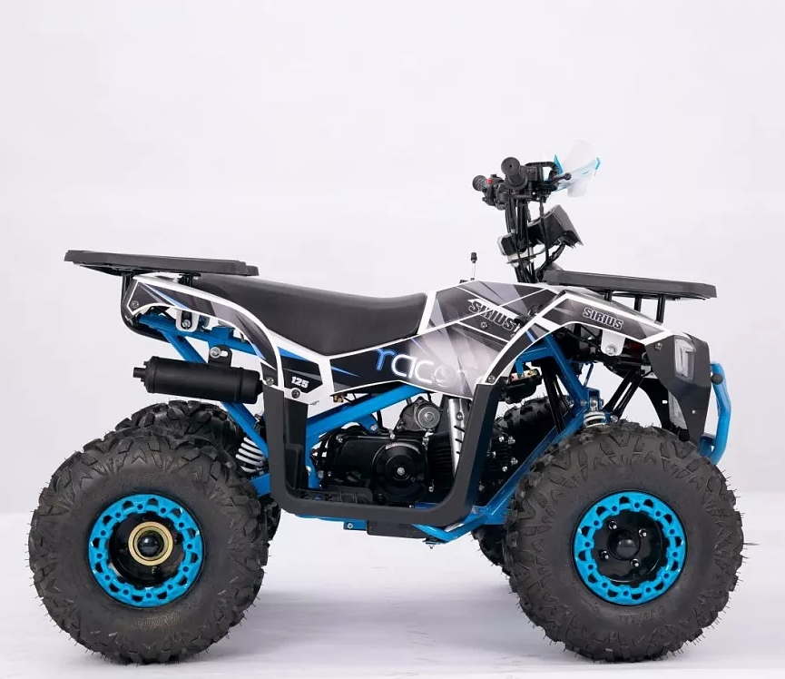 Квадроцикл YACOTA SIRIUS 110 в Димитровграде Квадроцикл YACOTA SIRIUS 110 в Димитровграде