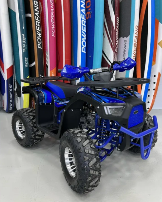 Квадроцикл PROMAX SPACE 200 в Димитровграде Квадроцикл PROMAX SPACE 200 в Димитровграде