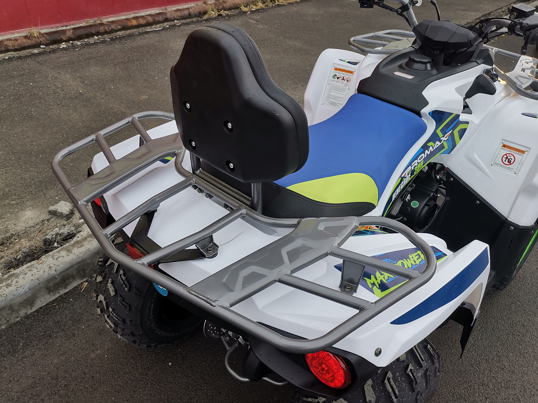 Квадроцикл PROMAX RENEGADE 280 LUX (2025) в Димитровграде Квадроцикл PROMAX RENEGADE 280 LUX (2025) в Димитровграде