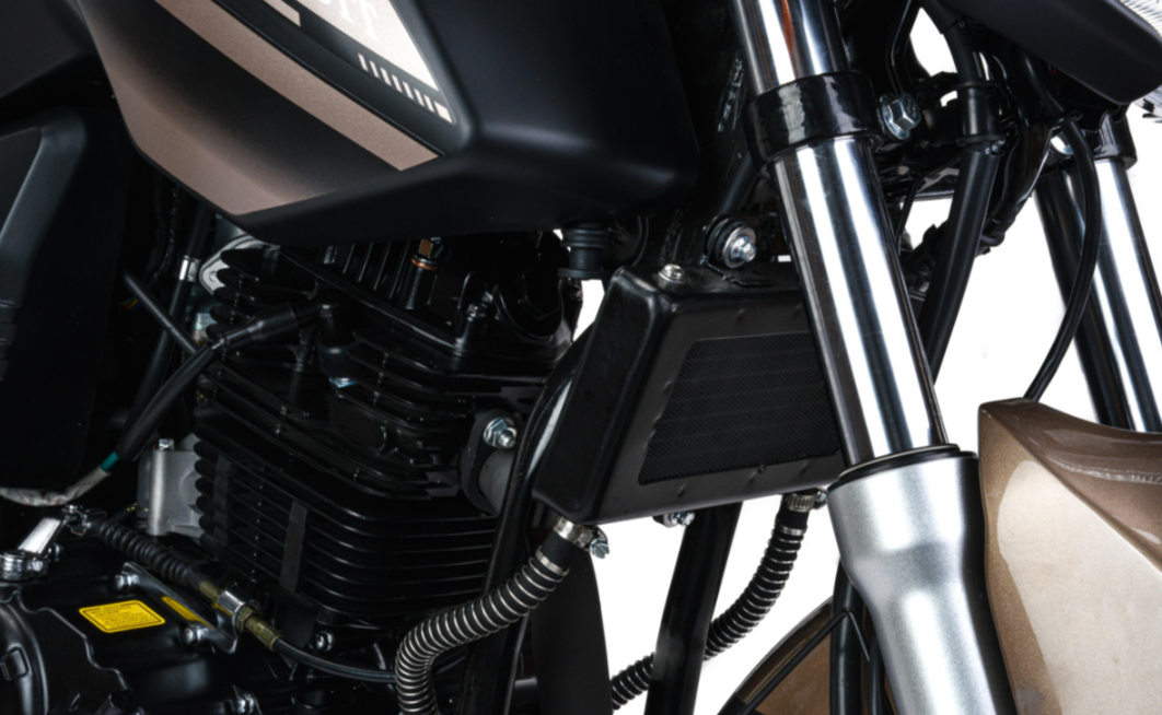 Мотоцикл MOTOLAND (МОТОЛЕНД) 300 BANDIT в Димитровграде