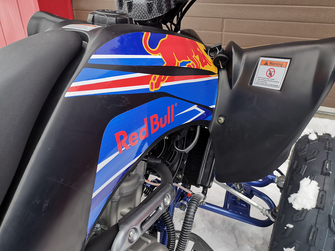 Квадроцикл PROMAX RAPTOR 300 NEW RedBull в Димитровграде Квадроцикл PROMAX RAPTOR 300 NEW RedBull в Димитровграде