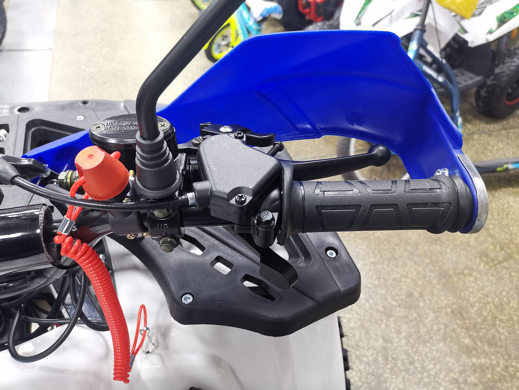 Квадроцикл PROMAX WILD 175 LUX в Димитровграде Квадроцикл PROMAX WILD 175 LUX в Димитровграде