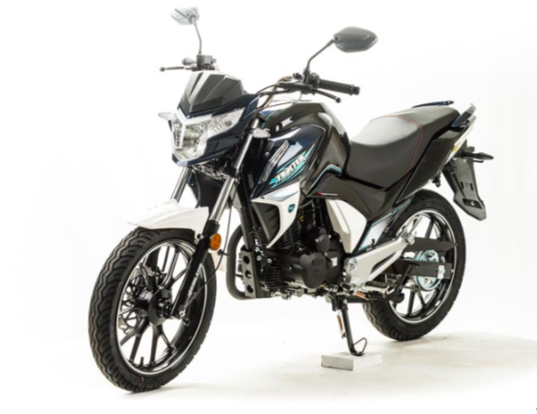 Мотоцикл MOTOLAND (МОТОЛЕНД) FIGHTER 250 в Димитровграде Мотоцикл MOTOLAND (МОТОЛЕНД) FIGHTER 250 в Димитровграде