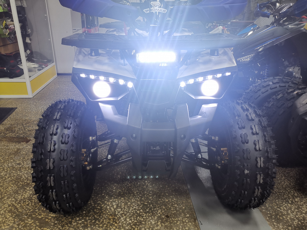 Квадроцикл PROMAX WILD 175 LUX в Димитровграде Квадроцикл PROMAX WILD 175 LUX в Димитровграде