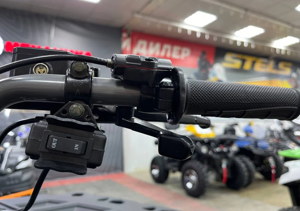 Квадроцикл PROMAX RENEGADE 300 LONG WINCH PRO (2025) в Димитровграде Квадроцикл PROMAX RENEGADE 300 LONG WINCH PRO (2025) в Димитровграде