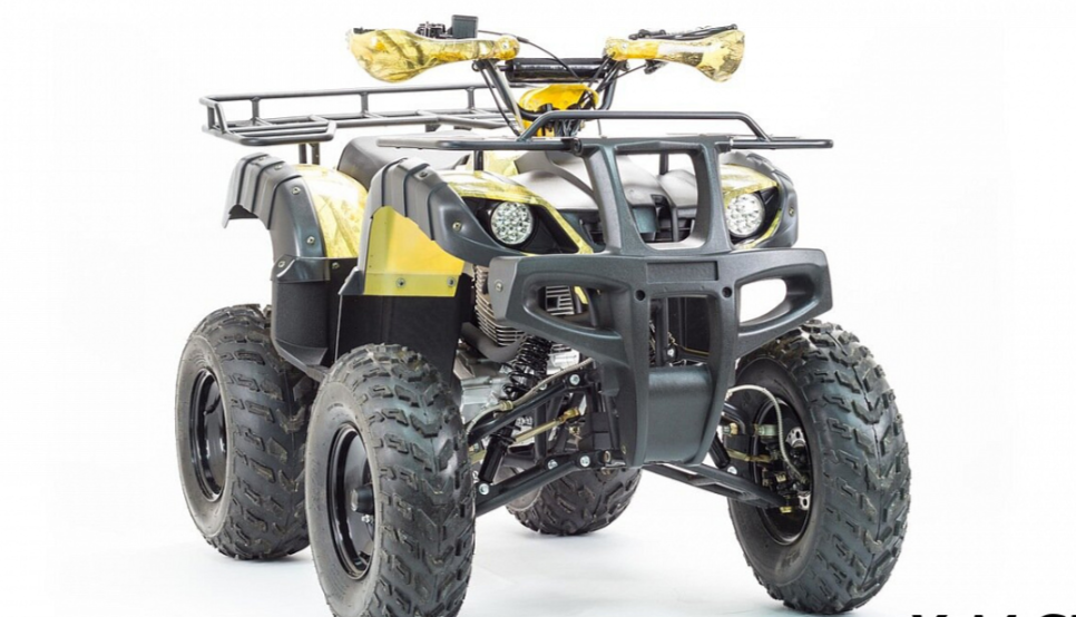 Квадроцикл MOTOLAND (МОТОЛЕНД) 250 ADVENTURE в Димитровграде Квадроцикл MOTOLAND (МОТОЛЕНД) 250 ADVENTURE в Димитровграде