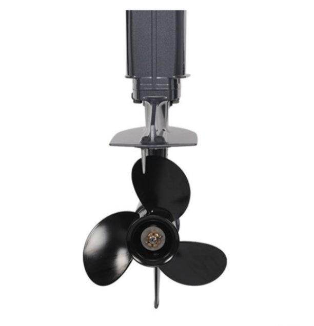 Лодочный мотор ALLFA CG Т40FW S в Димитровграде