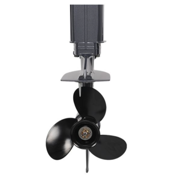 Лодочный мотор ALLFA CG Т40FWT S в Димитровграде Лодочный мотор ALLFA CG Т40FWT S в Димитровграде