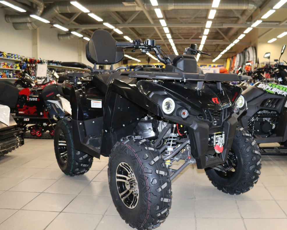 Квадроцикл PROMAX RENEGADE 300 LONG WINCH PRO (2025) в Димитровграде Квадроцикл PROMAX RENEGADE 300 LONG WINCH PRO (2025) в Димитровграде