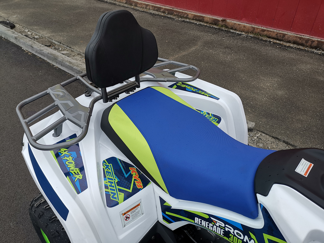 Квадроцикл PROMAX RENEGADE 280 LUX (2025) в Димитровграде Квадроцикл PROMAX RENEGADE 280 LUX (2025) в Димитровграде