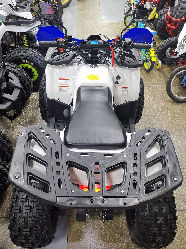 Квадроцикл PROMAX WILD 175 LUX в Димитровграде Квадроцикл PROMAX WILD 175 LUX в Димитровграде
