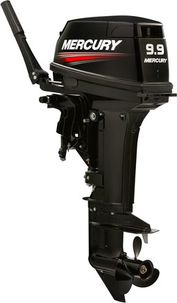 ЛОДОЧНЫЙ МОТОР MERCURY 9.9 MH TMC 247 CC в Димитровграде ЛОДОЧНЫЙ МОТОР MERCURY 9.9 MH TMC 247 CC в Димитровграде