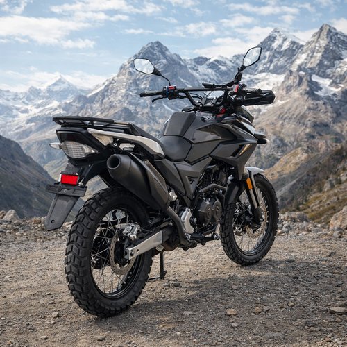 Мотоцикл PROMAX TOURING PR300 в Димитровграде