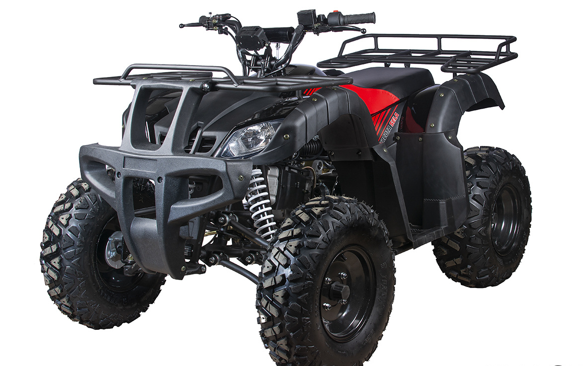 Квадроцикл YACOTA SELA 200 в Димитровграде Квадроцикл YACOTA SELA 200 в Димитровграде