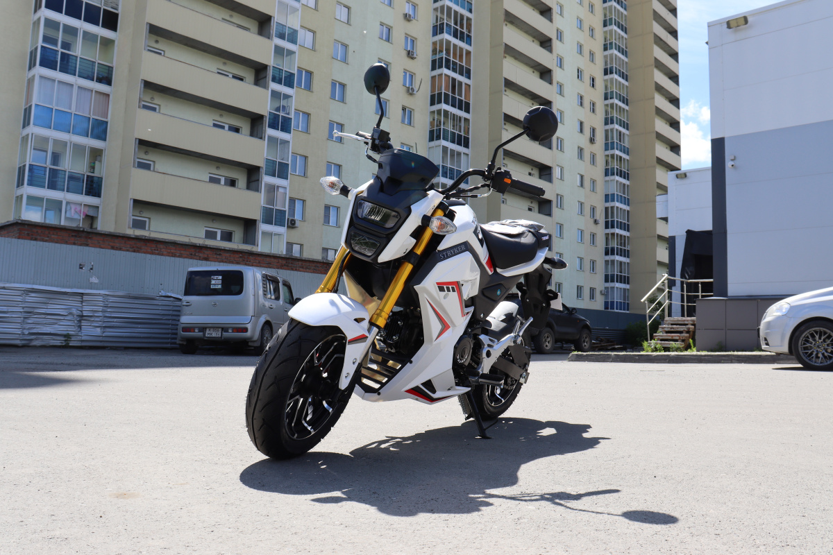 Мотоцикл PROMAX STRYKER 200(49) 2.0 в Димитровграде Мотоцикл PROMAX STRYKER 200(49) 2.0 в Димитровграде