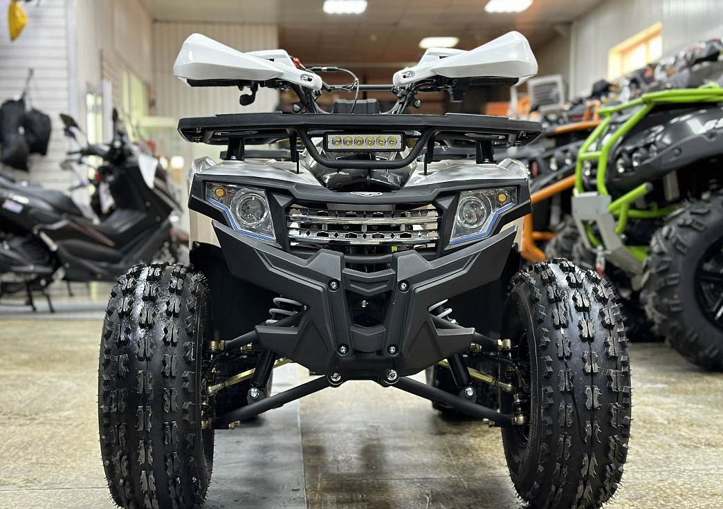 Квадроцикл PROMAX WILD 2.0 190 в Димитровграде Квадроцикл PROMAX WILD 2.0 190 в Димитровграде