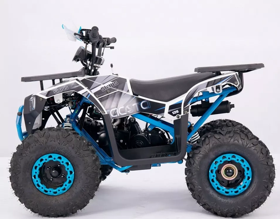 Квадроцикл YACOTA SIRIUS 110 в Димитровграде Квадроцикл YACOTA SIRIUS 110 в Димитровграде