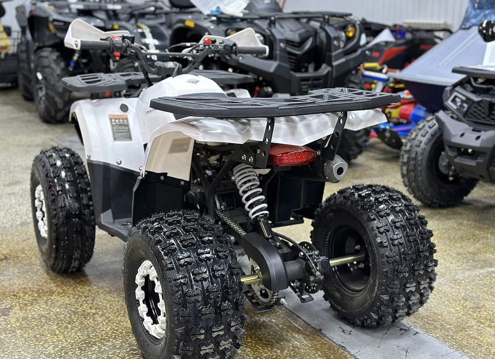 Квадроцикл PROMAX WILD 2.0 190 в Димитровграде Квадроцикл PROMAX WILD 2.0 190 в Димитровграде