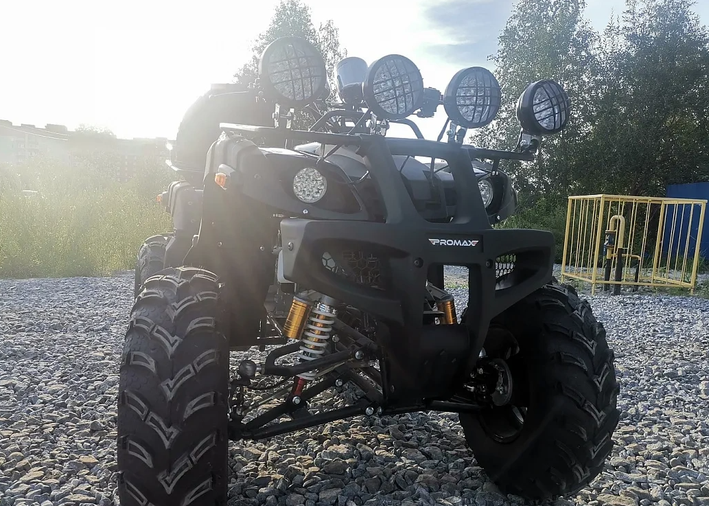 Квадроцикл PROMAX LEO 300 Max (кардан) в Димитровграде Квадроцикл PROMAX LEO 300 Max (кардан) в Димитровграде