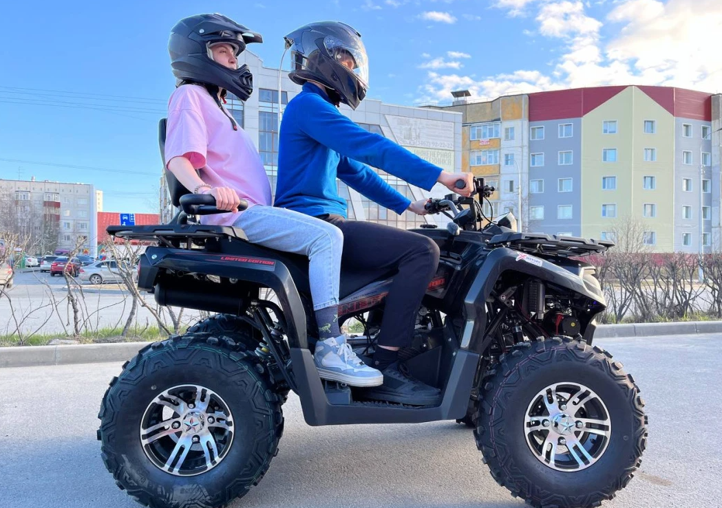 Квадроцикл PROMAX RENEGADE 300 LONG WINCH PRO (2025) в Димитровграде Квадроцикл PROMAX RENEGADE 300 LONG WINCH PRO (2025) в Димитровграде