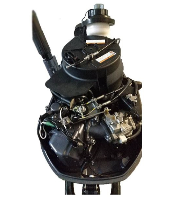 Лодочный мотор ALLFA CG F6 в Димитровграде Лодочный мотор ALLFA CG F6 в Димитровграде