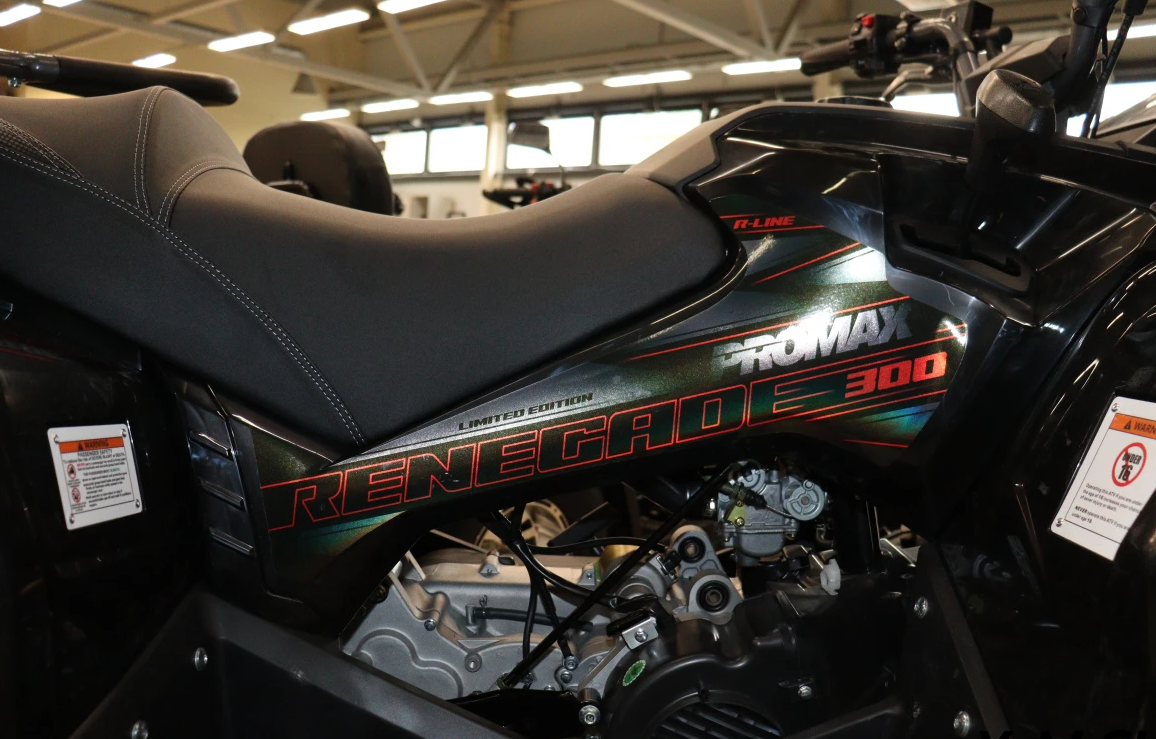 Квадроцикл PROMAX RENEGADE 300 LONG WINCH PRO (2025) в Димитровграде Квадроцикл PROMAX RENEGADE 300 LONG WINCH PRO (2025) в Димитровграде