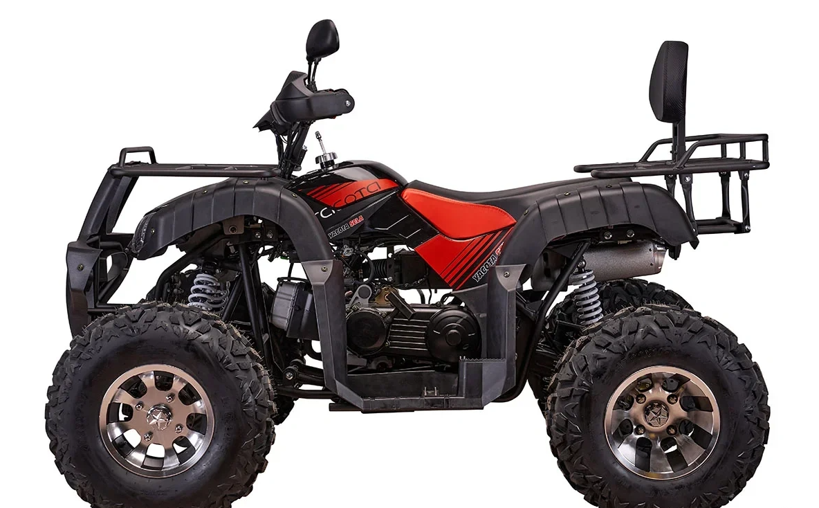 Квадроцикл YACOTA SELA 200 PRO в Димитровграде Квадроцикл YACOTA SELA 200 PRO в Димитровграде