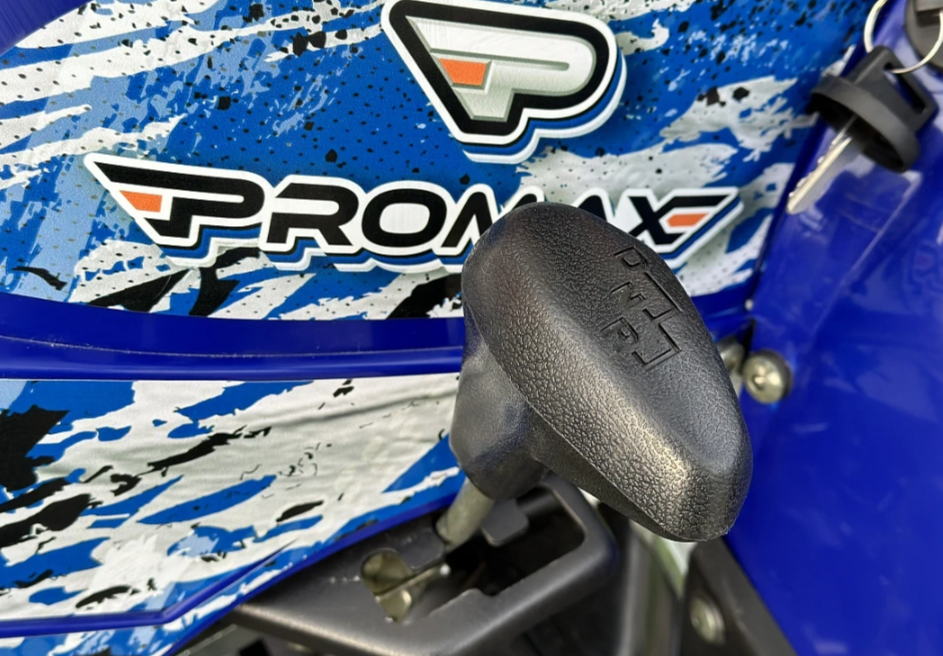 Квадроцикл PROMAX ATV 250 MAX (2025) в Димитровграде  Квадроцикл PROMAX ATV 250 MAX (2025) в Димитровграде