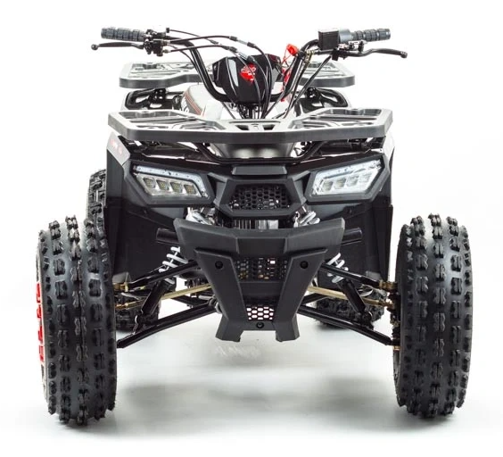 Квадроцикл PROMAX WILD 175 в Димитровграде Квадроцикл PROMAX WILD 175 в Димитровграде