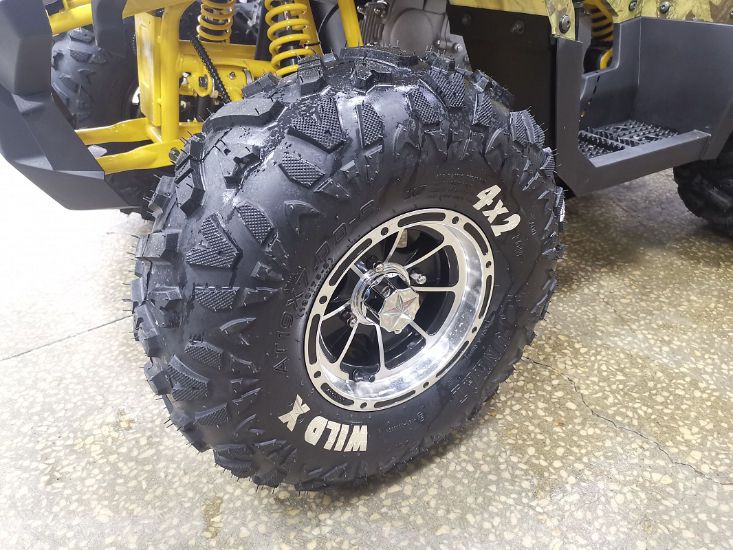 Квадроцикл PROMAX STORM 190 PRO в Димитровграде