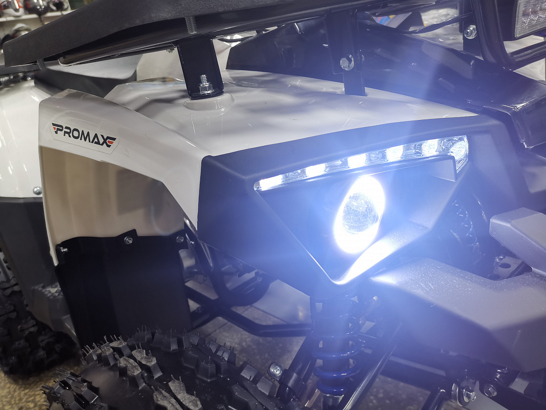 Квадроцикл PROMAX WILD 175 LUX в Димитровграде Квадроцикл PROMAX WILD 175 LUX в Димитровграде