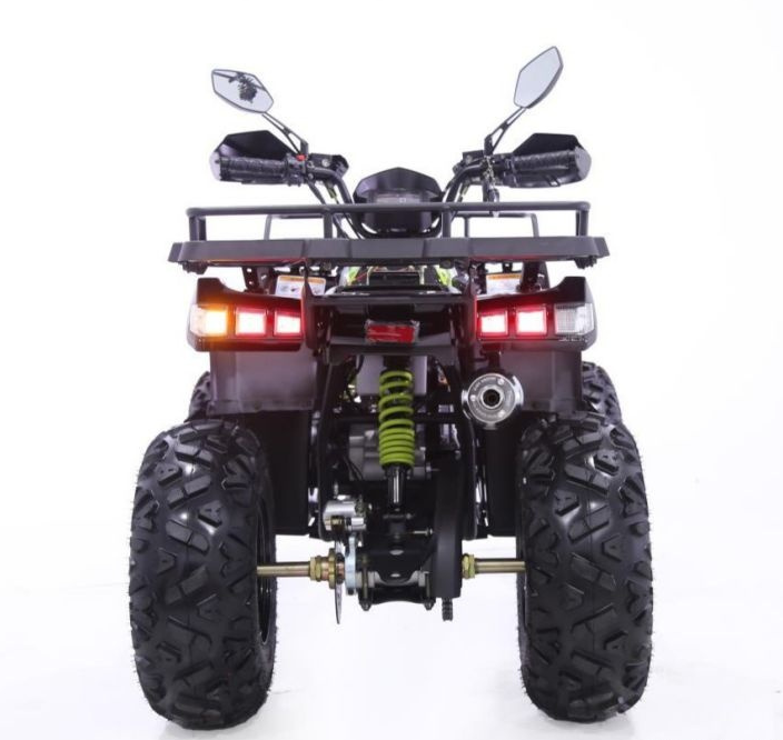 Квадроцикл YACOTA WARRIOR 200 PRO в Димитровграде Квадроцикл YACOTA WARRIOR 200 PRO в Димитровграде