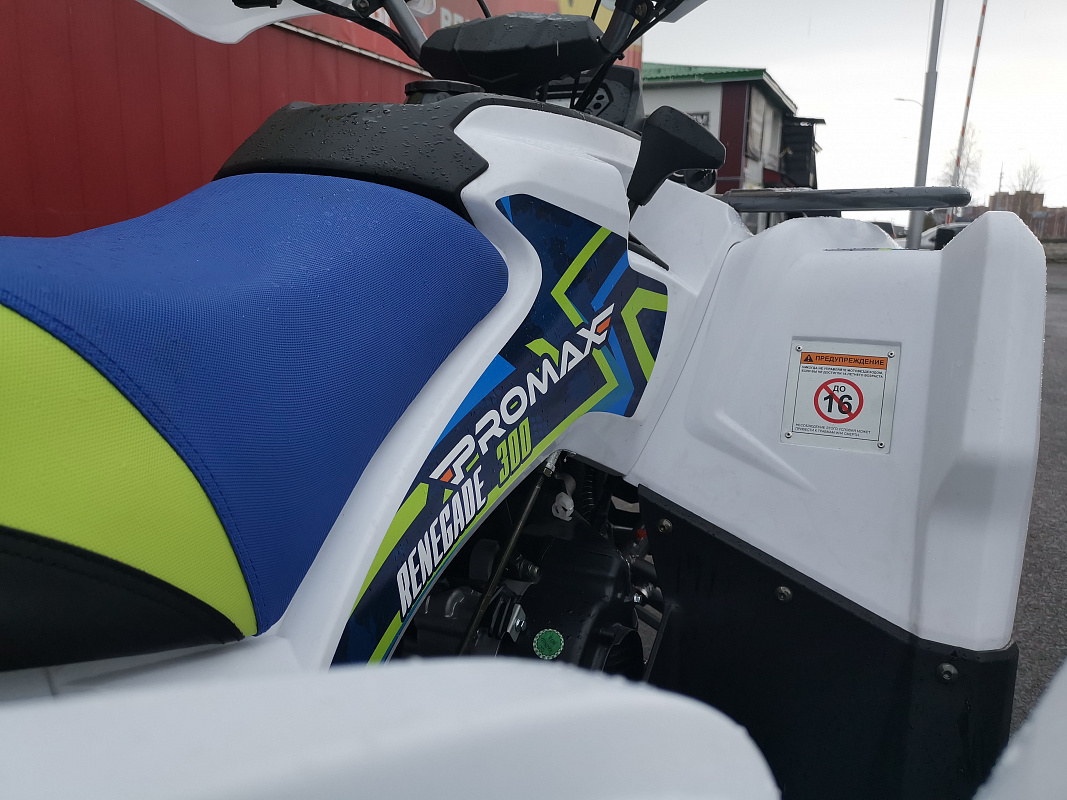Квадроцикл PROMAX RENEGADE 280 LUX (2025) в Димитровграде Квадроцикл PROMAX RENEGADE 280 LUX (2025) в Димитровграде