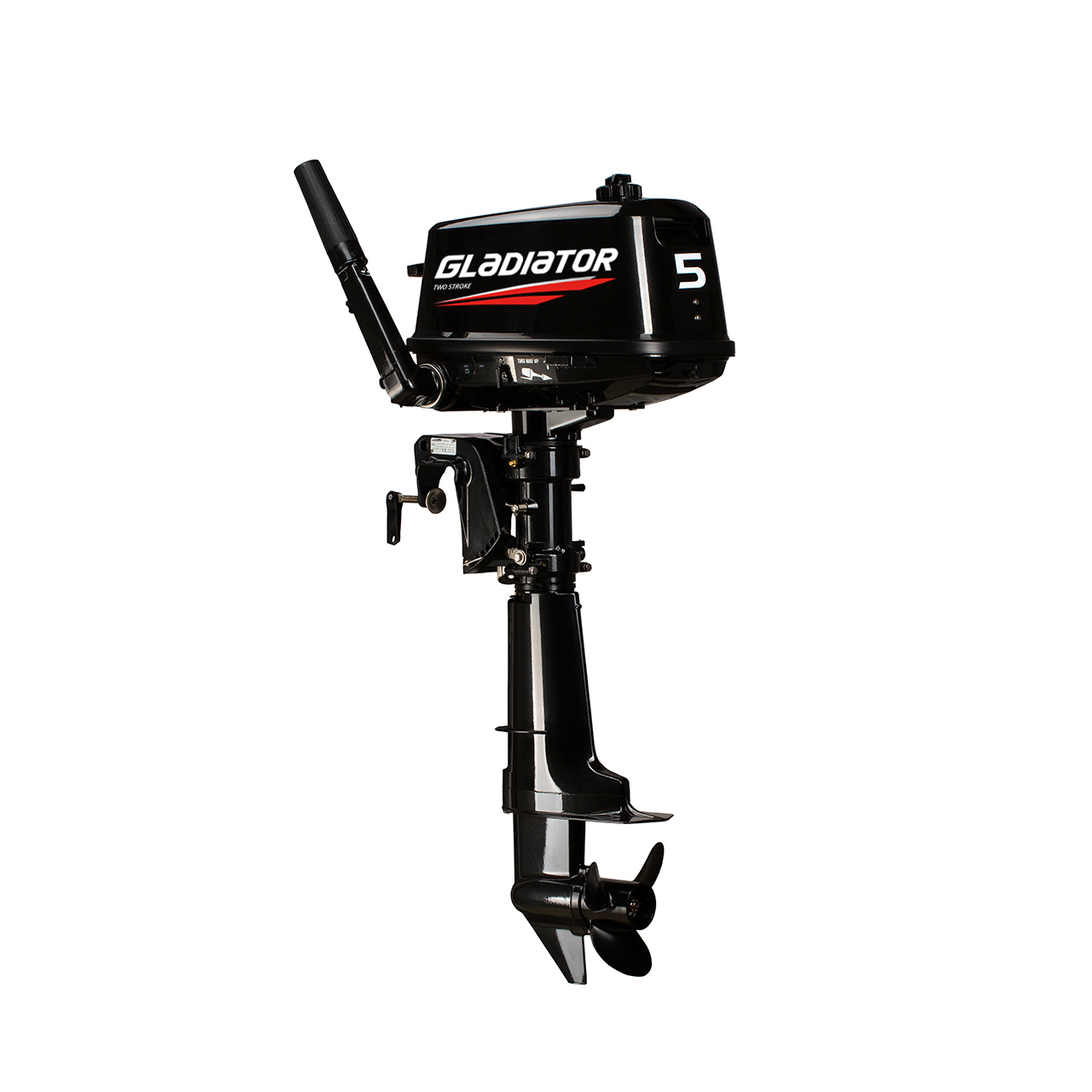 ЛОДОЧНЫЙ МОТОР GLADIATOR G5FHS в Димитровграде ЛОДОЧНЫЙ МОТОР GLADIATOR G5FHS в Димитровграде