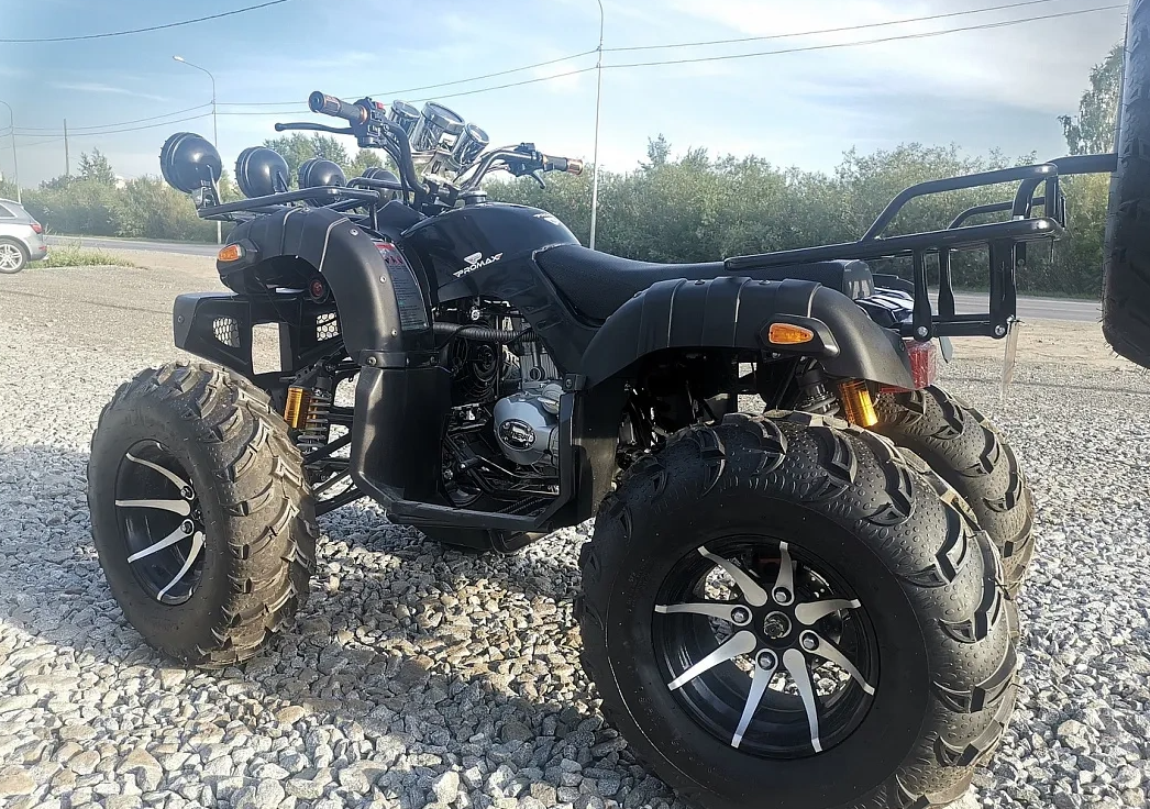 Квадроцикл PROMAX LEO 300 Max (кардан) в Димитровграде Квадроцикл PROMAX LEO 300 Max (кардан) в Димитровграде