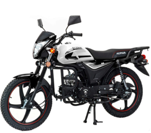 Мопед MOTOLAND (МОТОЛЕНД) Альфа RS 11 (LM48-B) в Димитровграде Мопед MOTOLAND (МОТОЛЕНД) Альфа RS 11 (LM48-B) в Димитровграде