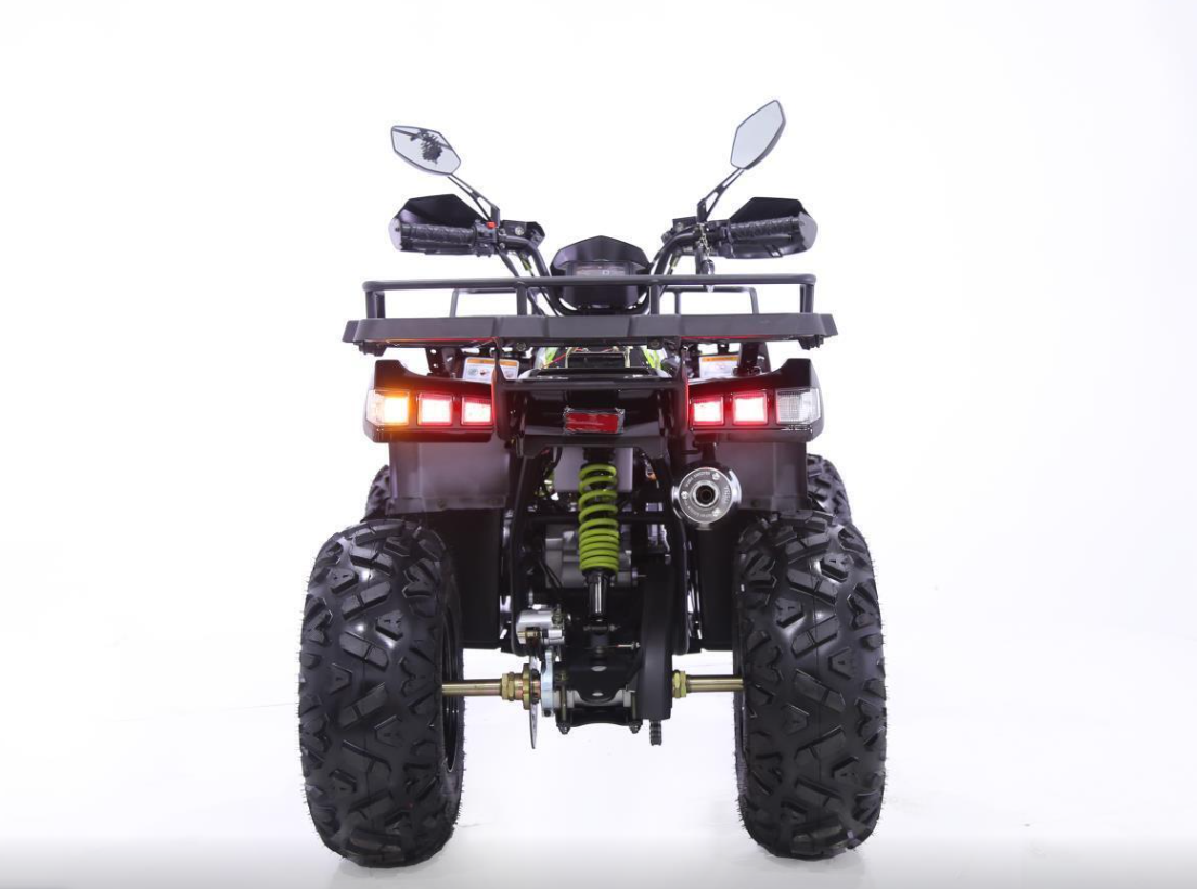 Квадроцикл YACOTA WARRIOR 200 в Димитровграде Квадроцикл YACOTA WARRIOR 200 в Димитровграде