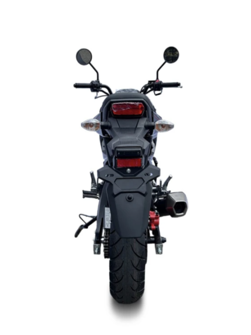 Мотоцикл PROMAX STRYKER 200(49) в Димитровграде Мотоцикл PROMAX STRYKER 200(49) в Димитровграде