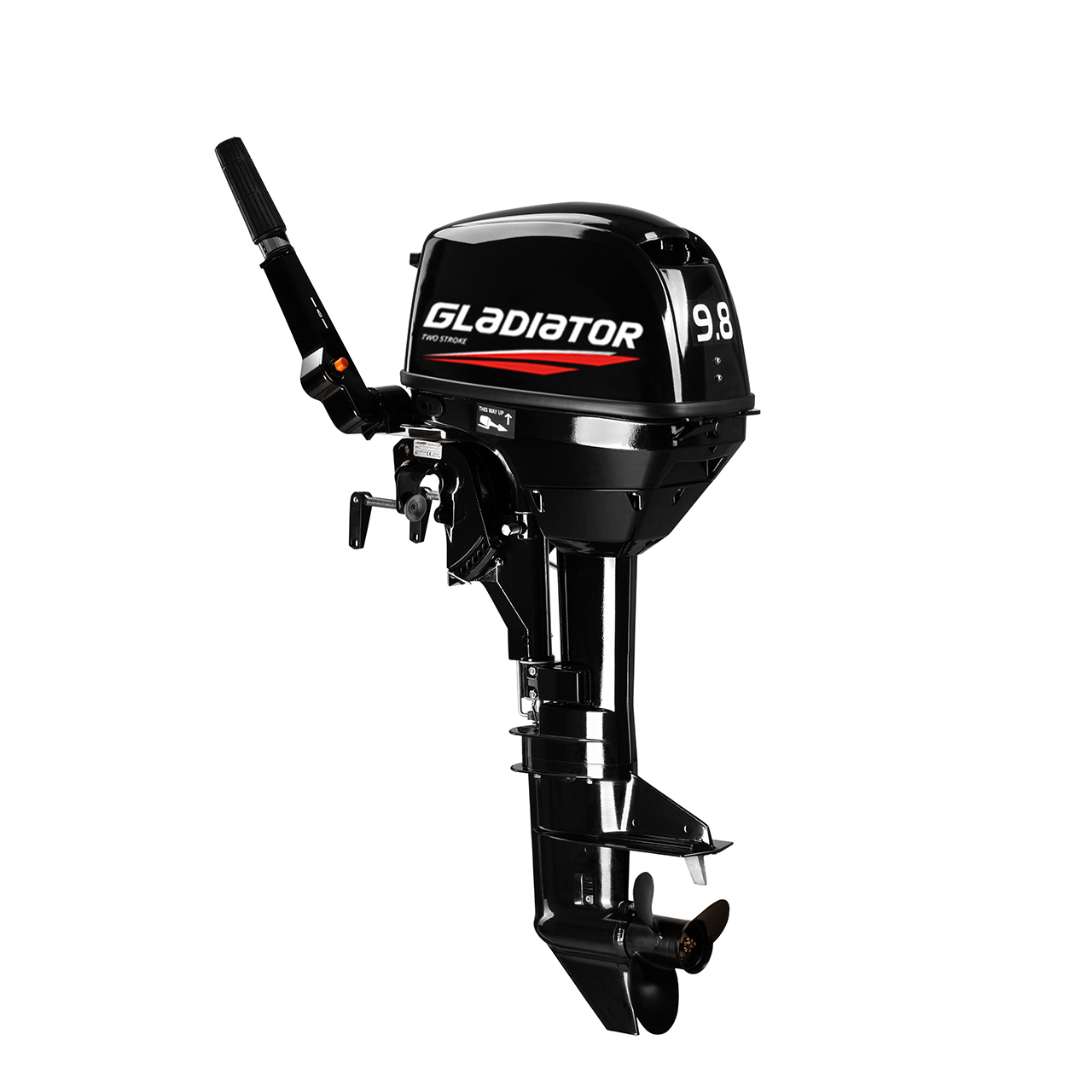 ЛОДОЧНЫЙ МОТОР GLADIATOR G9.8FHS в Димитровграде ЛОДОЧНЫЙ МОТОР GLADIATOR G9.8FHS в Димитровграде