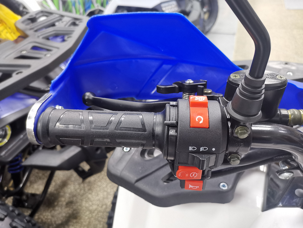 Квадроцикл PROMAX WILD 175 LUX в Димитровграде Квадроцикл PROMAX WILD 175 LUX в Димитровграде